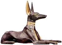 anpu1.gif (11192 bytes)